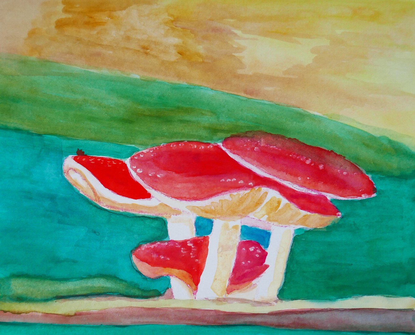 Paddenstoelen 2
