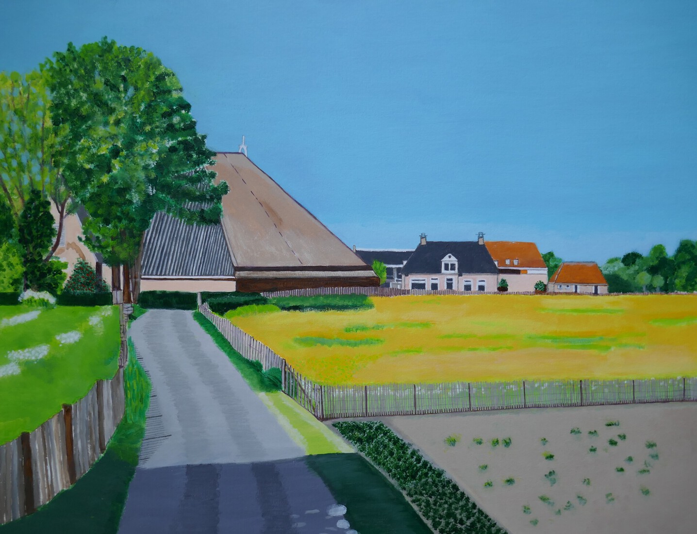 Boterbloemenveld in Marsum