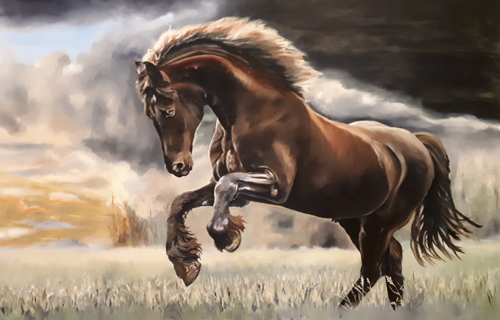 New dawn, new day, new life