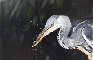 Vogels... sinds we buiten de stad wonen, kan ik geen genoeg krijgen van deze beestjes!