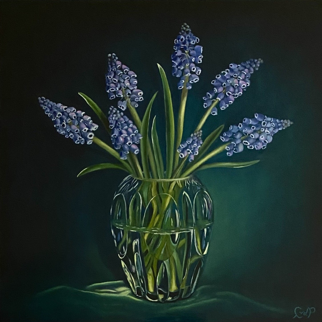 Muscari