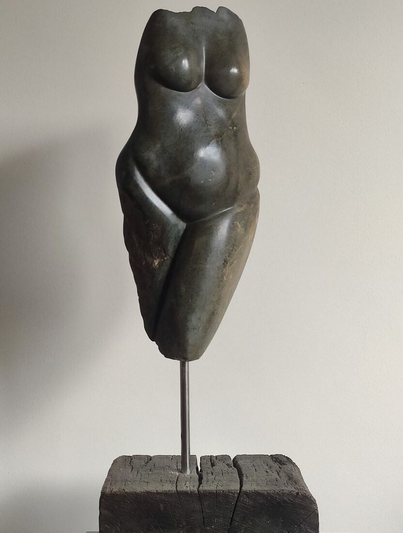 Torso 26