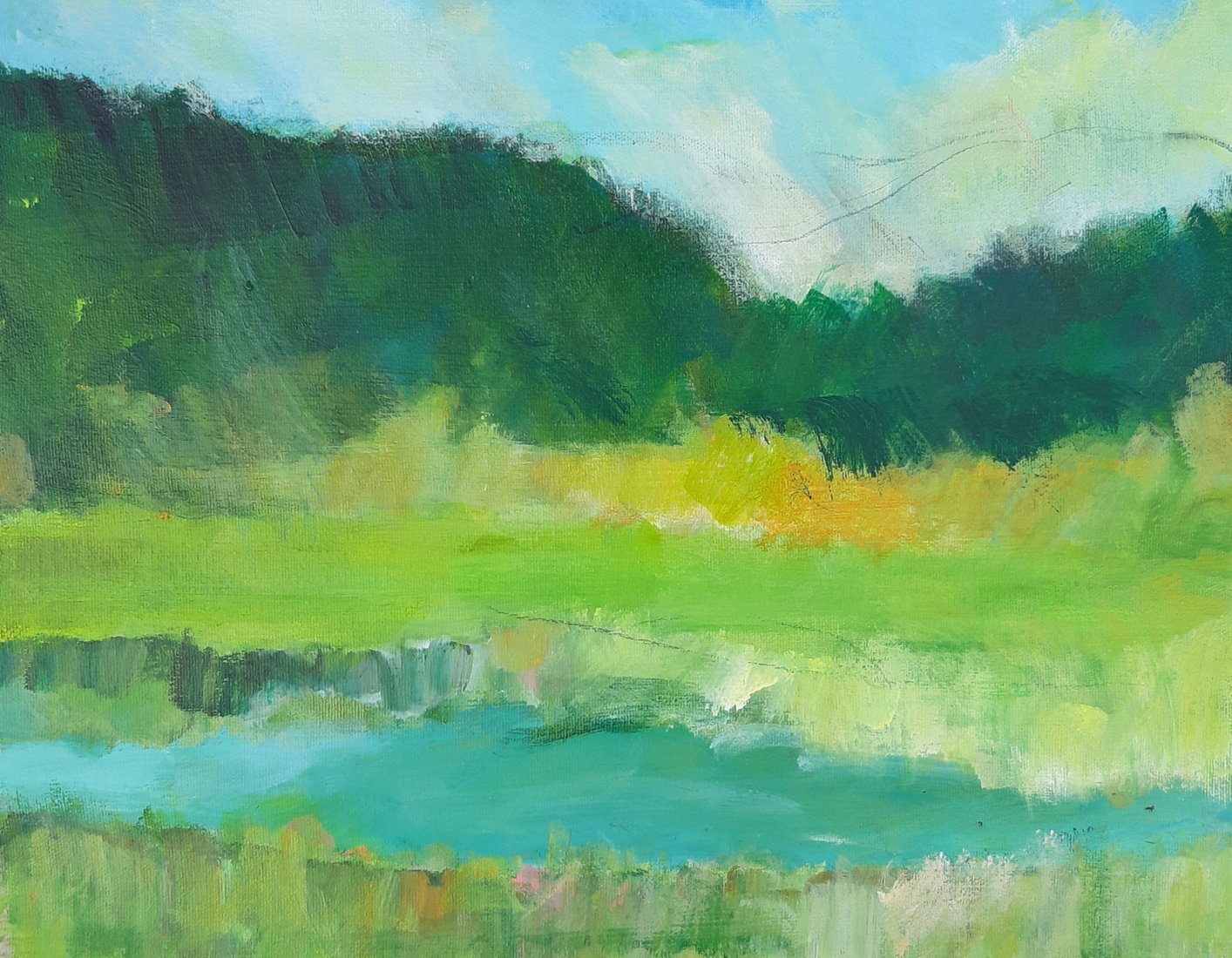 Landschap Valkenburg aan de Geul