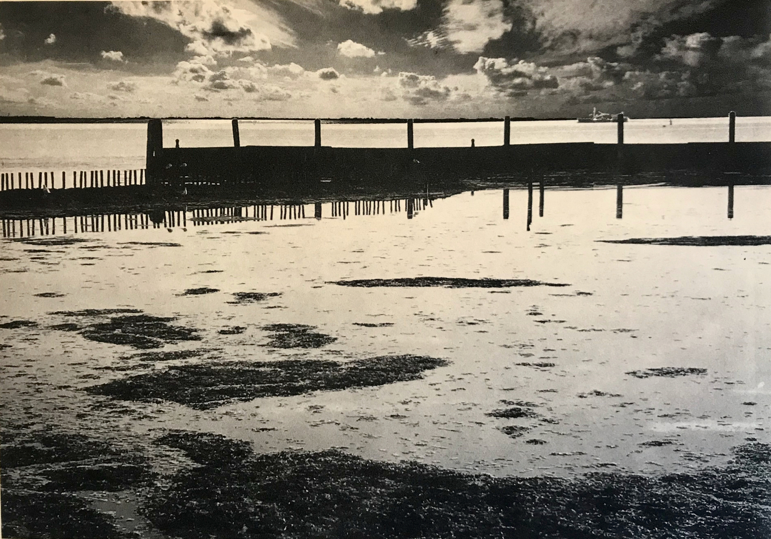 Kerkwerve met avondlucht