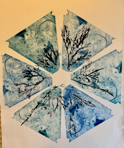 De zeebloemen heb ik gemaakt van gedroogd zeewier, die ik met vernis mou in een zinkplaat geëtst heb. Ook heb ik het gedroogde zeewier met collagraphi op een bestaande ets afdruk geprint.