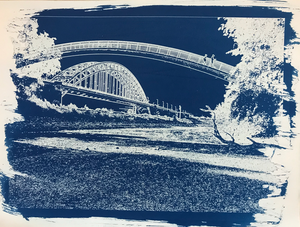 Cyanotypie is een fotografisch proces waarbij na ontwikkeling een cyaan-blauwe afdruk ontstaat. Deze blauwdruk is de voorloper van modernere druk en kopieer processen.