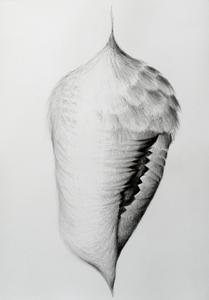 tekeningen met potlood en grafiet