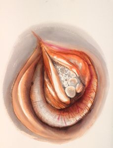 ecoline op handgeschept papier