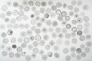 fineliner op calqueerpapier, knipsel