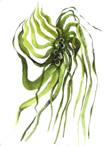 aquarel op handgeschept papier