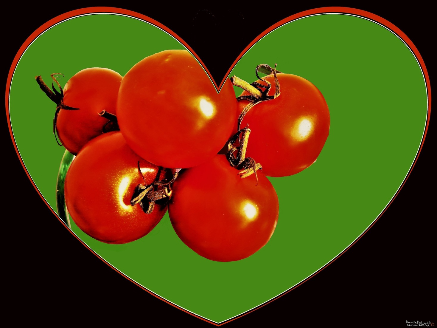 Tros tomaten