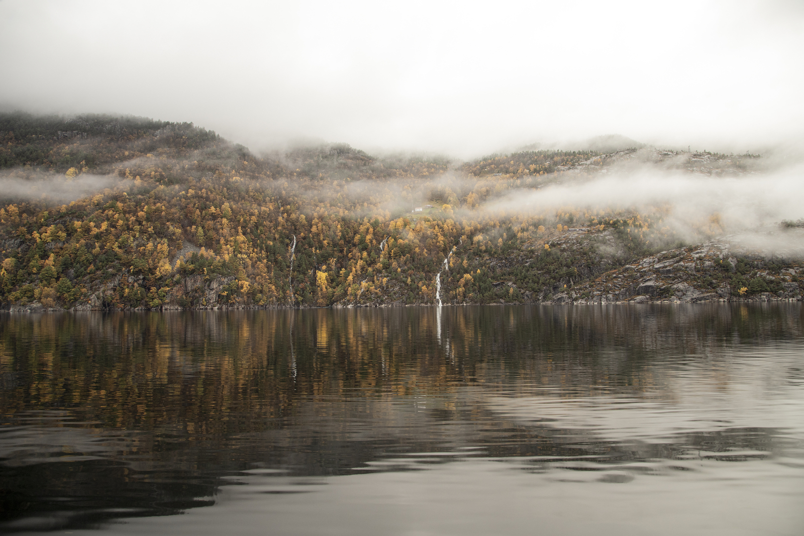 lysefjord 10