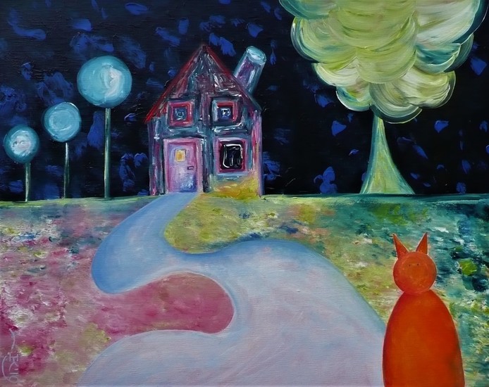 Huisje boompje beestje bij nacht