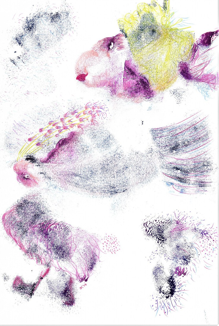 Wandeling in de wind