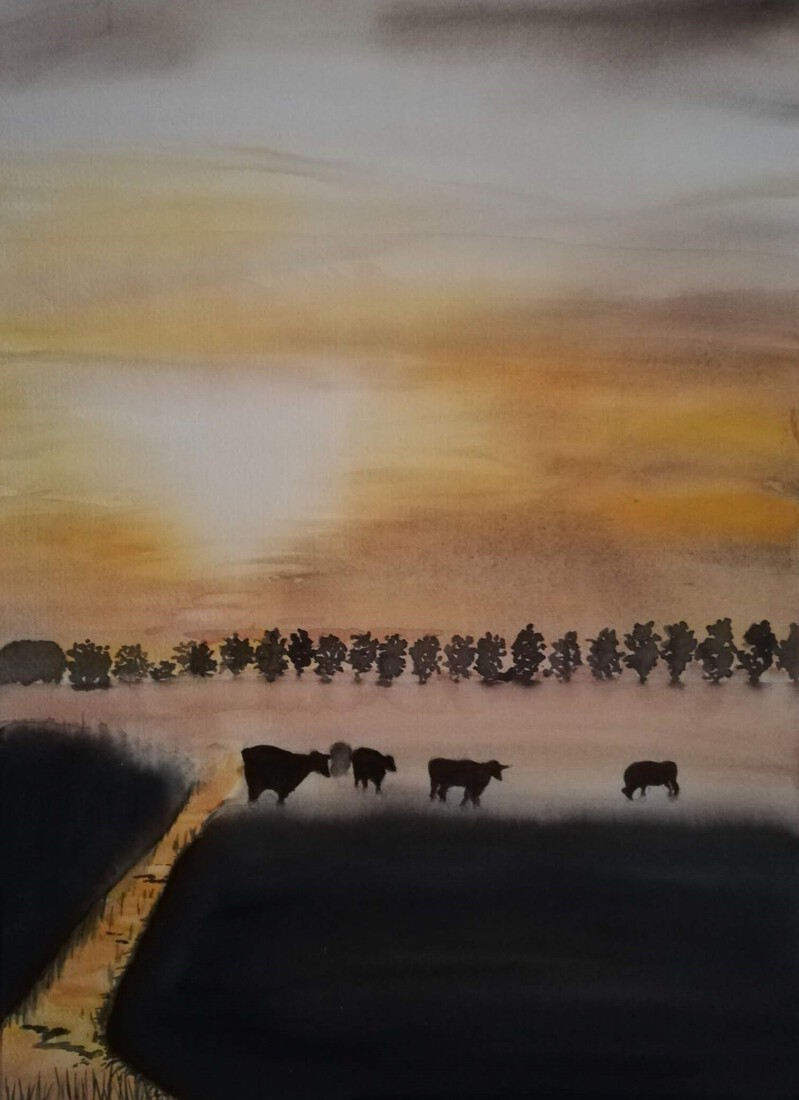 ondergaande zon met koeien