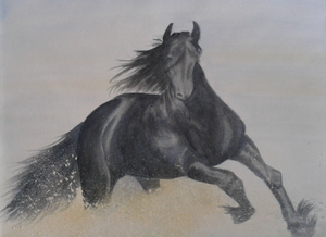 dieren