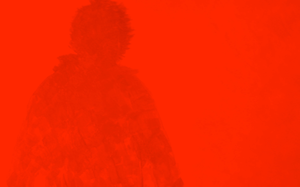 Vrij werk en portretten, meestal grote doeken, soms ook in opdracht vervaardigd