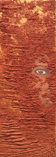 Portret bedekt met zand