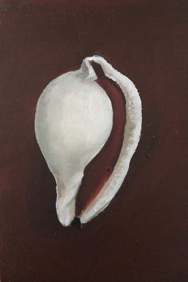 Miniatuur schelp wit