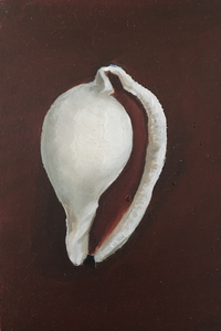 Verschillende natuurelementen, van schelpen tot beesten.