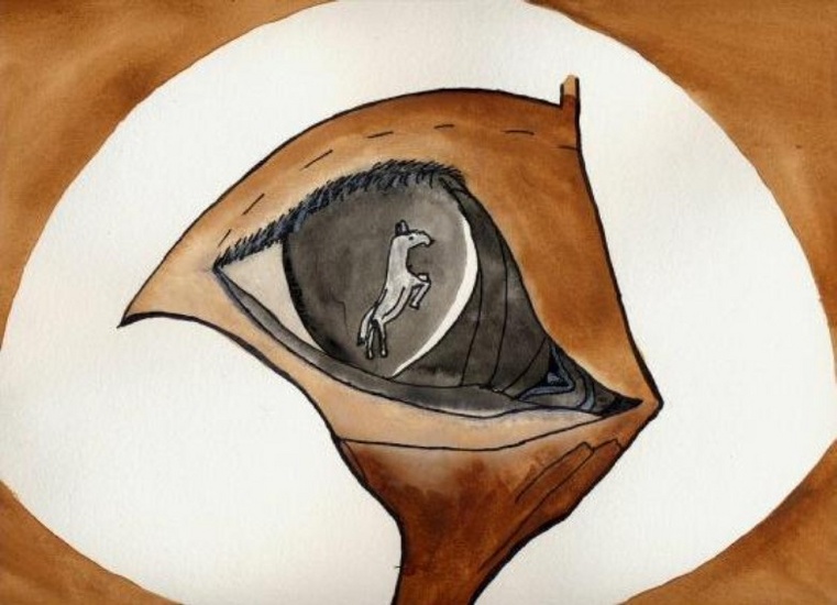 272-Paard in Paardenoog