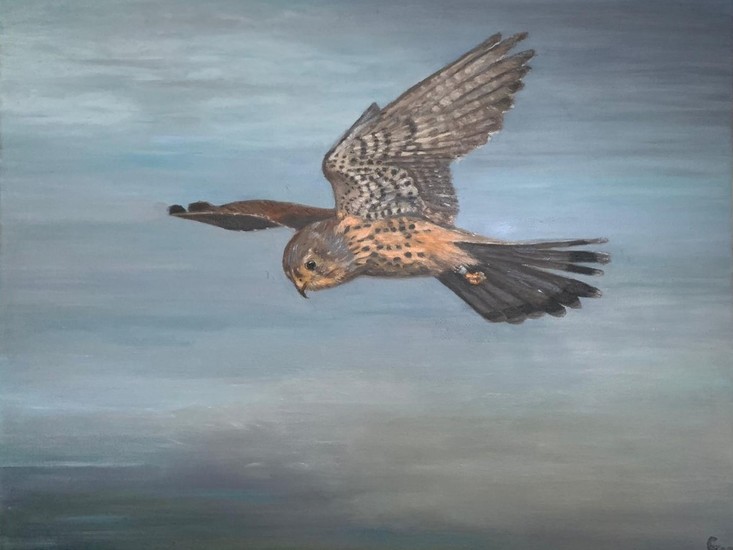 Kestrel