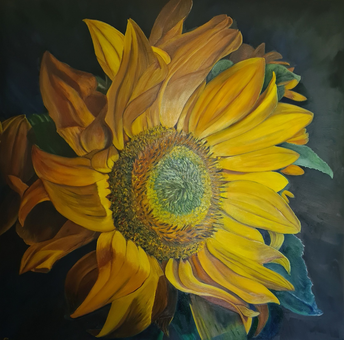 Sunflower