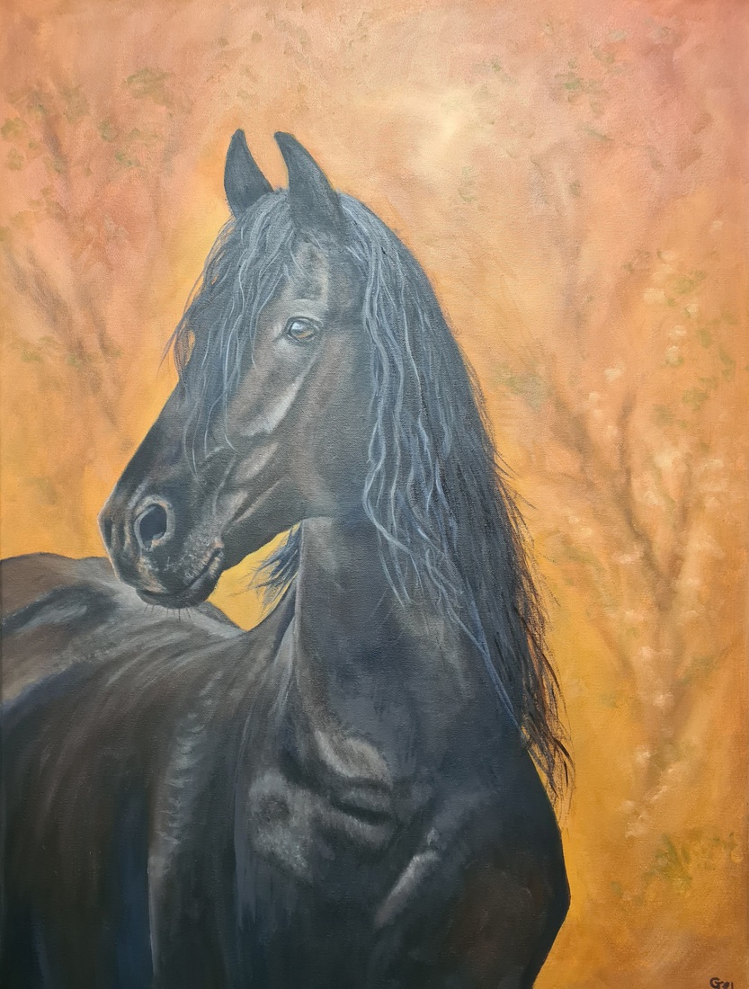 Friesian mare