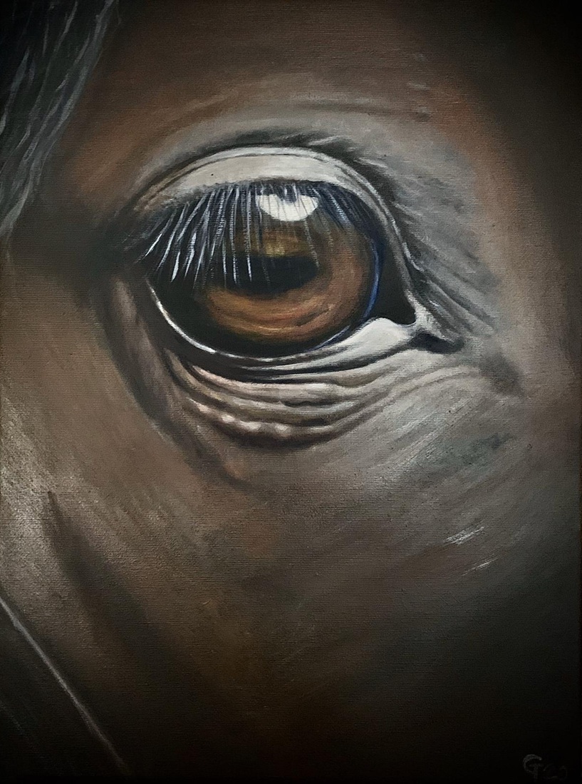 Eye of a horse