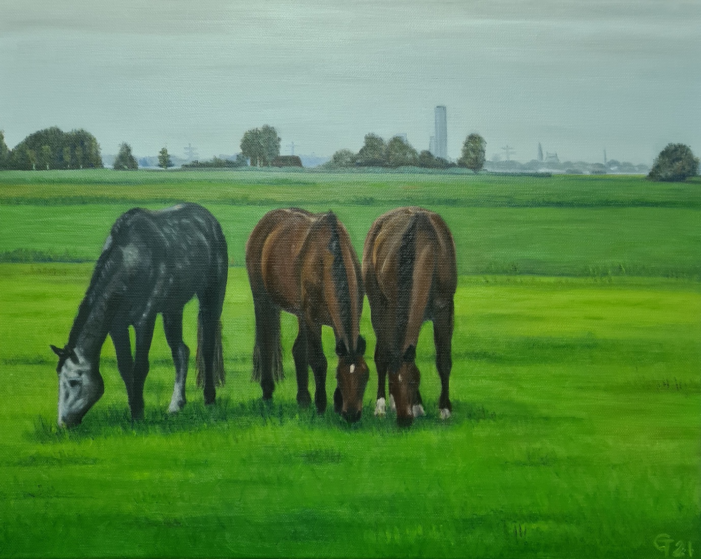 Horses in the field