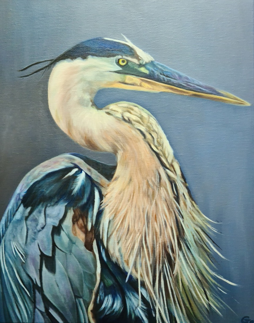 Blue heron