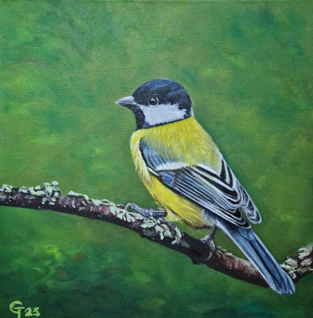 Great Tit