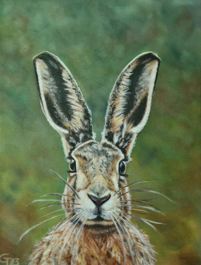 Hare
