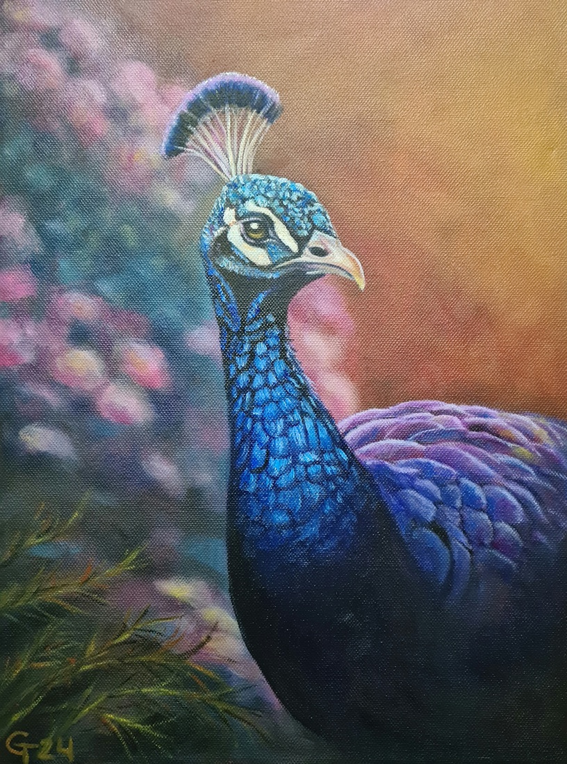 Peacock