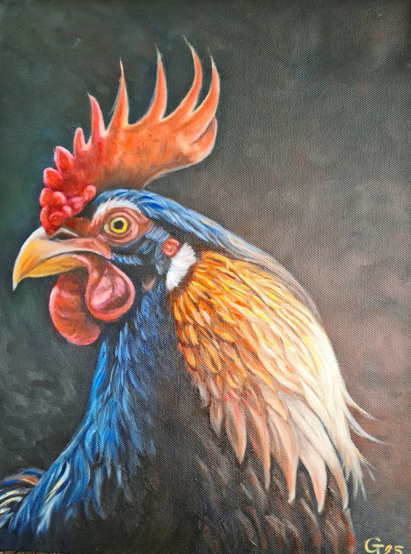 Rooster