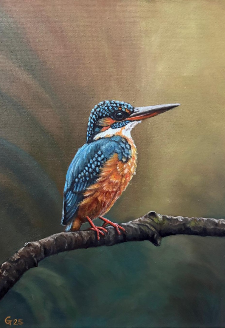 Kingfisher