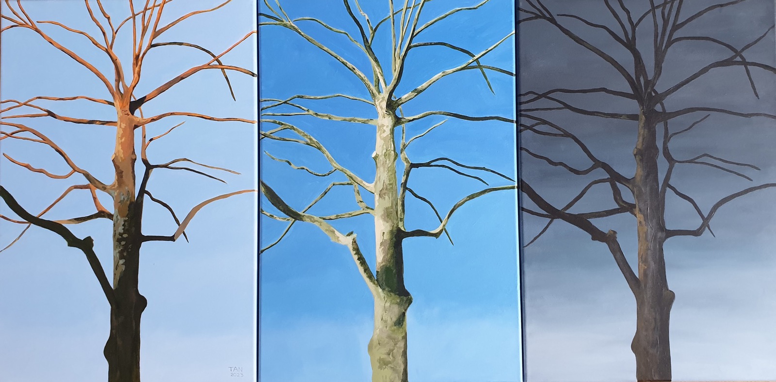 Morning, noon and evening 