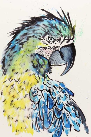 De blauwgele ara papegaai
