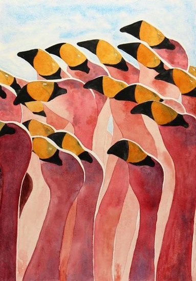 Groep flamingo's