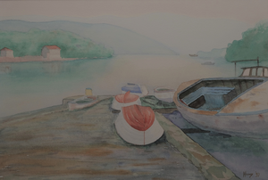 Ik schilder in hoofdzaak landschappen met veel water zowel nat in nat als direct geschilderd. Ik werk vrijwel uitsluitend gebaseerd op eigen foto's.