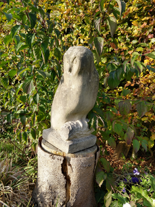 In deze groep staan beelden van vogels die ofwel zelf groter zijn, of waarvan het beeld groter is.