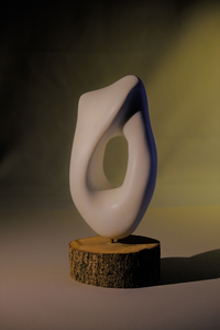 abstract en andere dieren