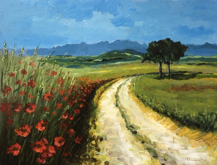 Klaprozen bij landweg