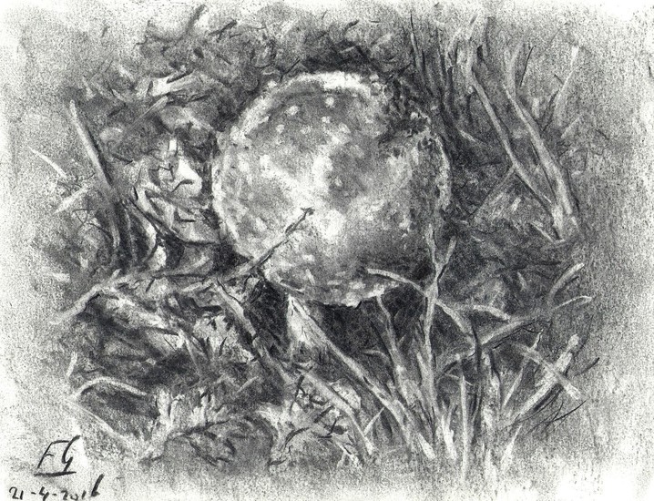 Herfst bladeren en paddestoel in houtskool