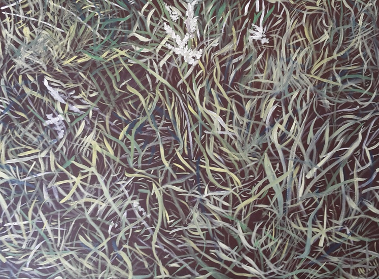 Gras with grass ears