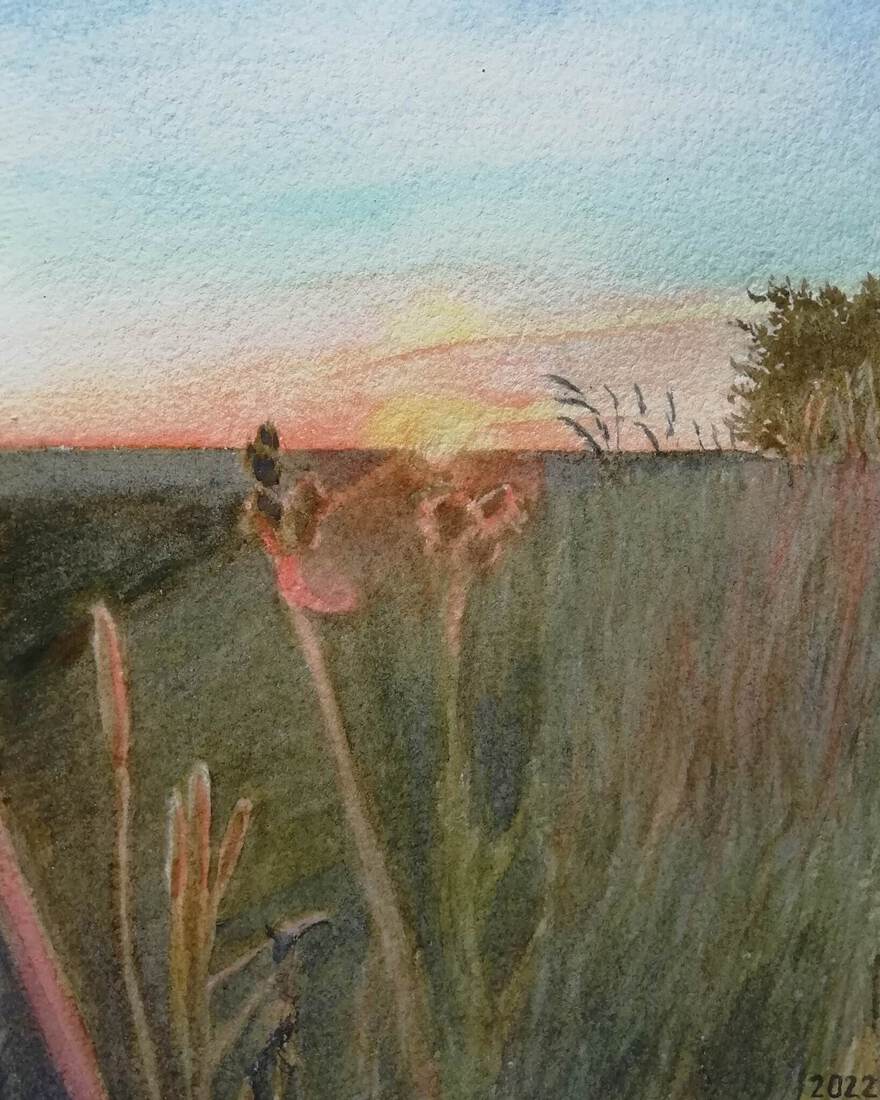 Sunrise in Skåne Sweden