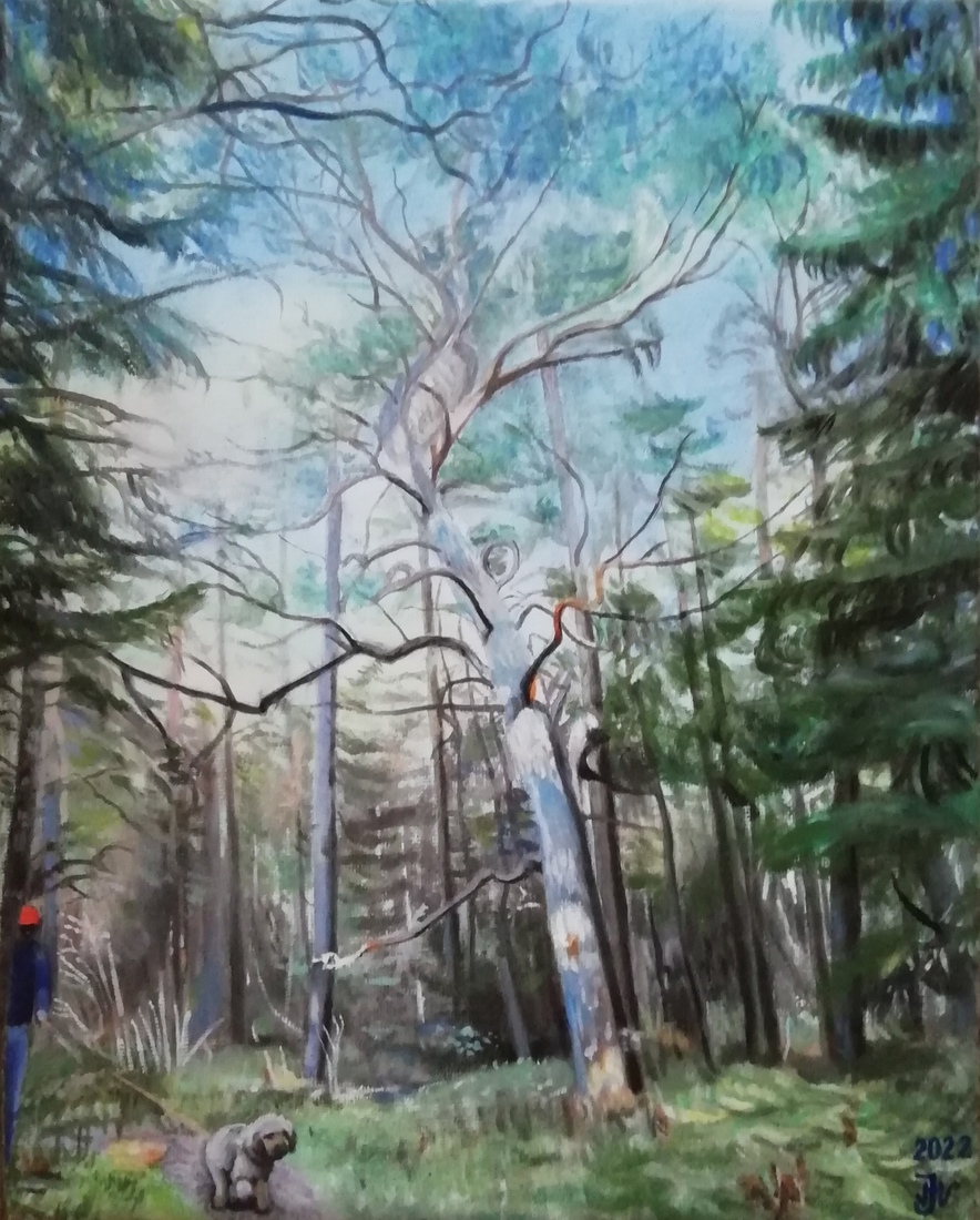 Sunny moment in the forest on Gotland