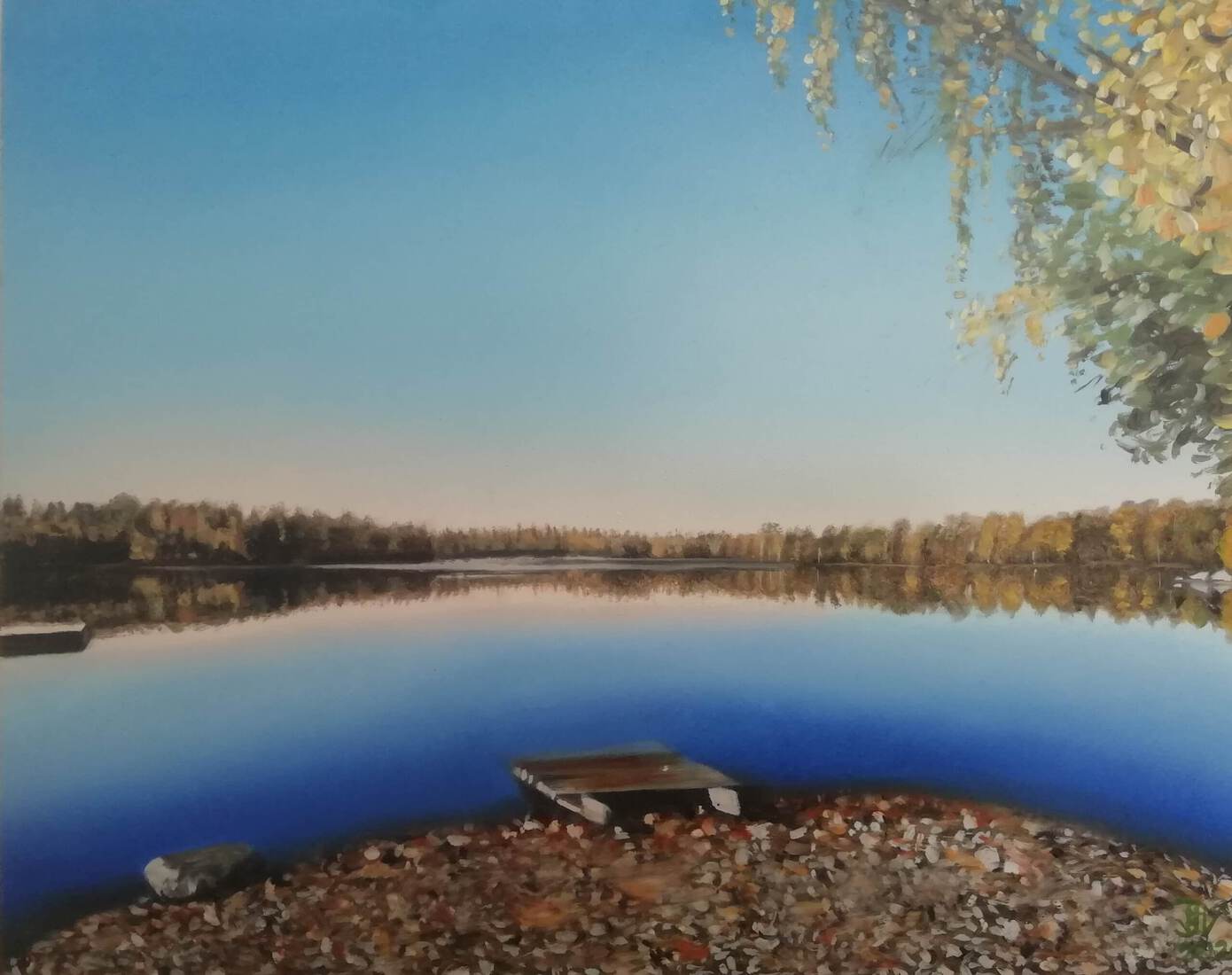 View over the lake Djupasjön