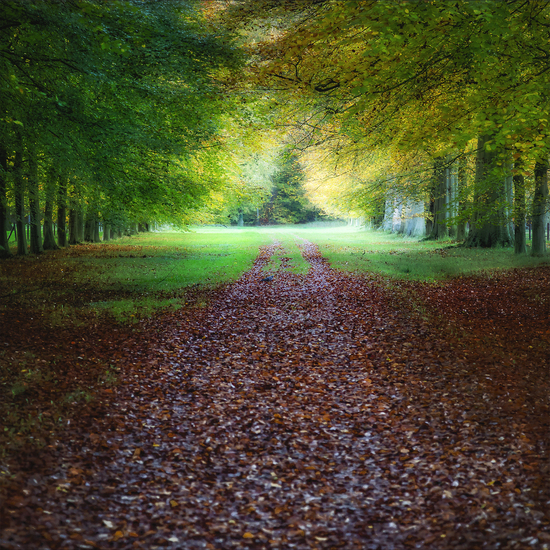 Landgoed Vogelenzang