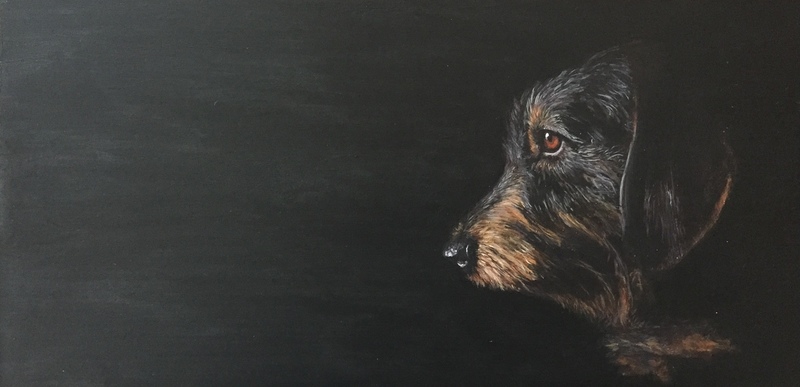 Hondenportret Teckel Fien